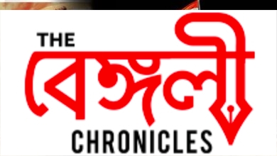 netaji 8