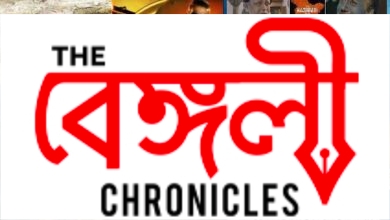 the kashmir files