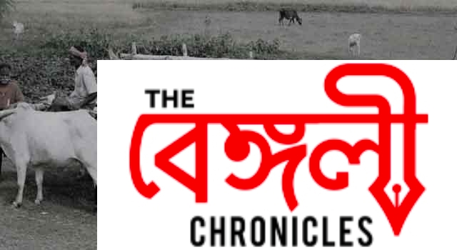 pather panchali