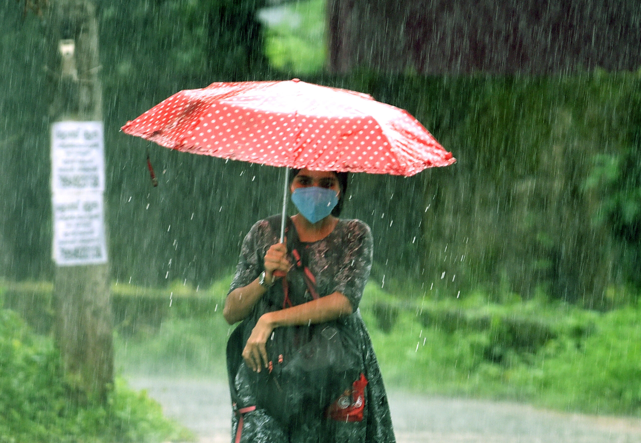 Top10,Breaking News,Bengali News,West Bengal,India,World