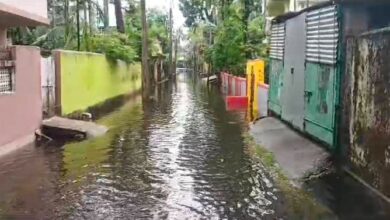 Jalpaiguri,North Bengal,Flood Situation,Teesta River