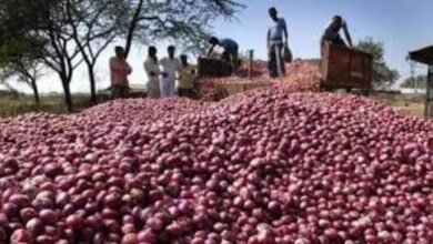 Onion price high rate,Bangladesh government,Indian government,Onion export-import