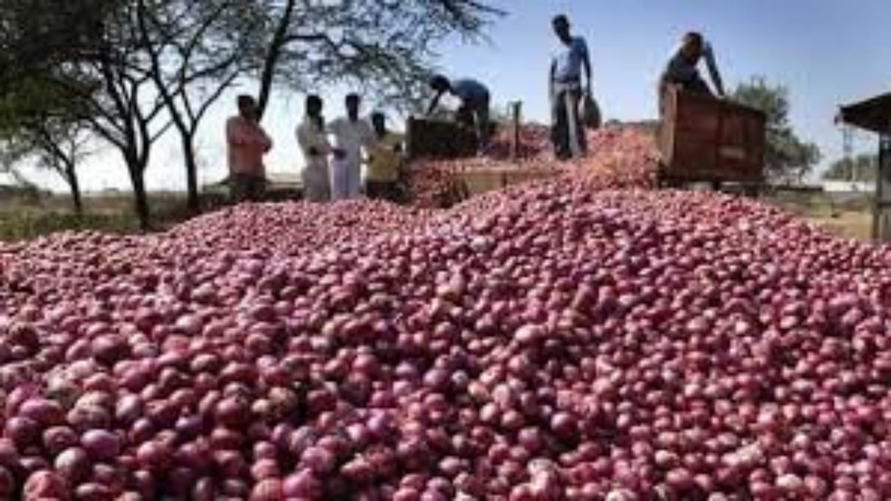 Onion price high rate,Bangladesh government,Indian government,Onion export-import