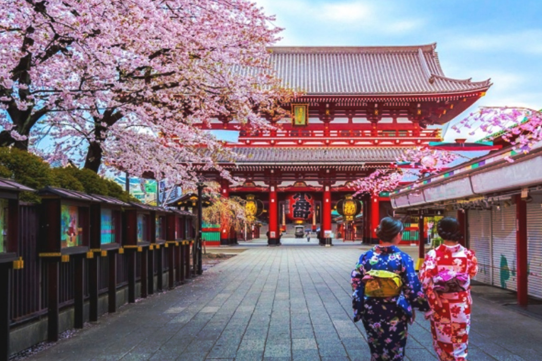 World,World map,Country,Japan,Japanese,Culture,Social rule