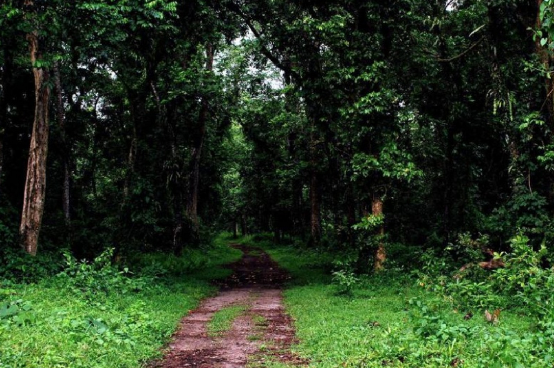 West Bengal,Travel,WB Tourism,North Bengal