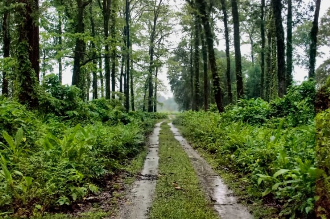 West Bengal,Travel,WB Tourism,North Bengal