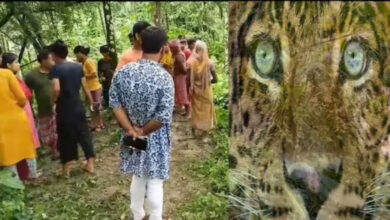 Leopard,Leopard Attack,Alipurduar news