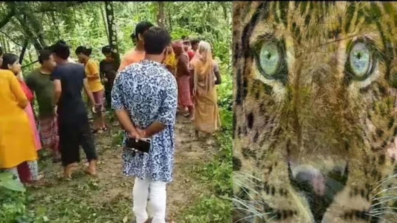 Leopard,Leopard Attack,Alipurduar news