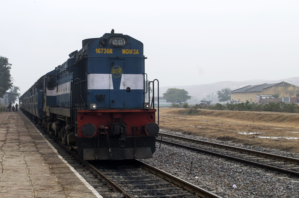 Train,Snake,Chambal Express