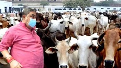 CBI,ED,Anubrata Mandal,Cattle Smuggling Case