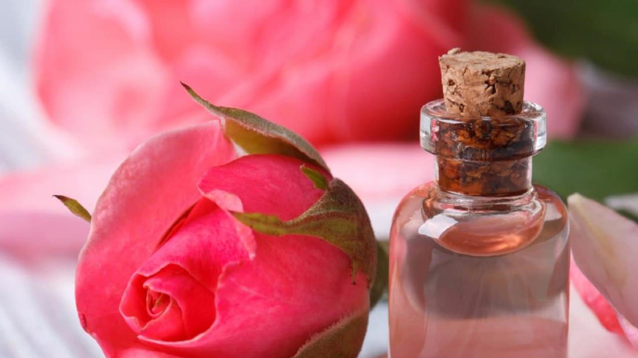 Rose farming,successful farmer,Profitable Agriculture