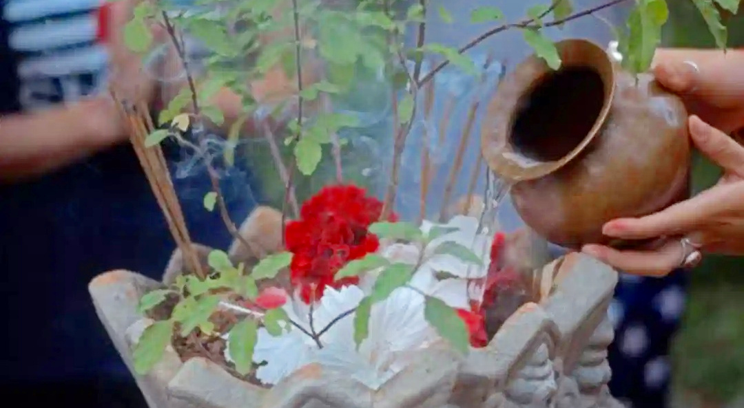 Spiritual,Bastu,Bastu Sastra,Life,life lesson,Tulsi,Life Tips