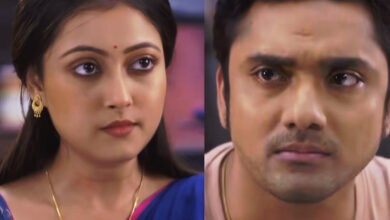 Zee Bangla,Nim Phooler Modhu,Bengali Serial,Serial update