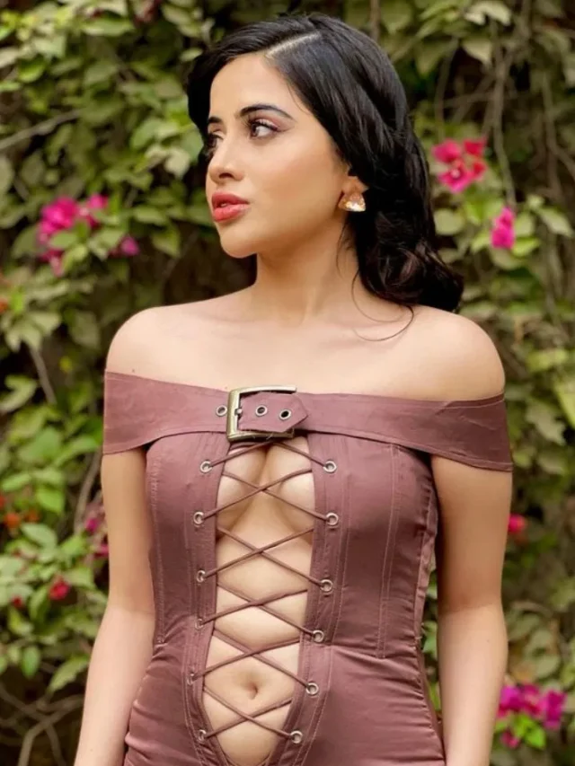 ক্যামেরা দেখেই মুখ ঢাকলেন উরফি, কেন?