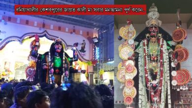 Keshabpur Kali Mandir,Keshabpur,Dhaniakhali,Hooghly,Bhanderhati,Duleypara Kali Mandir,Borgokshatriya para kali mondir,Keshabpur kali maa,tarkeshwar,kali maa,famous temple Hooghly,kali pujo 2023,kali pujo,kali puja Hooghly,famous kali puja Hooghly