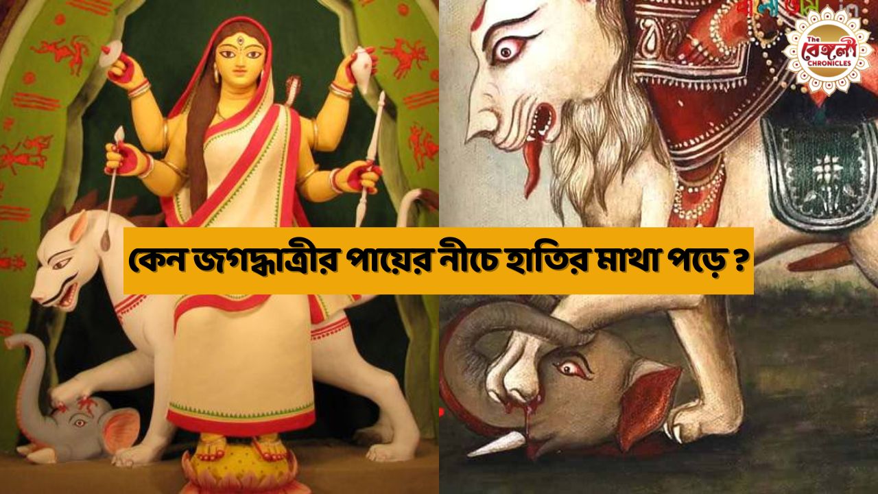 Jagadhatri Puja 2023,jagadhatri Puja,jagadhatri Puja date 2023,jagadhatri Puja 2023 Navami,jagadhatri Puja date,জগদ্ধাত্রী পূজা পদ্ধতি,জগদ্ধাত্রী ঠাকুর ড্রয়িং,জগদ্ধাত্রী ঠাকুরের বাহন,জগদ্ধাত্রীর বাহন,জগদ্ধাত্রী পুজো,Goddess Jagadhatri,purana story of jagadhatri,Goddess Jagaddhatri,দেবী জগদ্ধাত্রী,elephant head,হাতির মাথা,জগদ্ধাত্রী পূজা,mythological-stories,পৌরাণিক গল্প