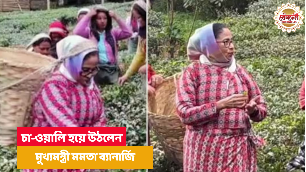 Mamata Banerjee,Mamata banerjee in hills,mamata banerjee in hills today,hill news today,makaibari tea estate,kalimpong,latest,chief minister,west bengal