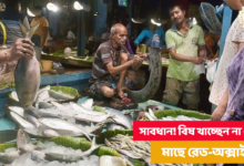 Fish market,Health,Fish,Red oxide,Red Oxide in fish,fish in kolkata,fish market in kolkata,unhealthy fish,unhealthy food,bad health,kolkata,West Bengal