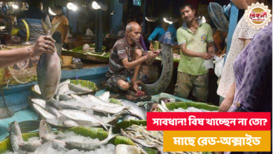 Fish market,Health,Fish,Red oxide,Red Oxide in fish,fish in kolkata,fish market in kolkata,unhealthy fish,unhealthy food,bad health,kolkata,West Bengal