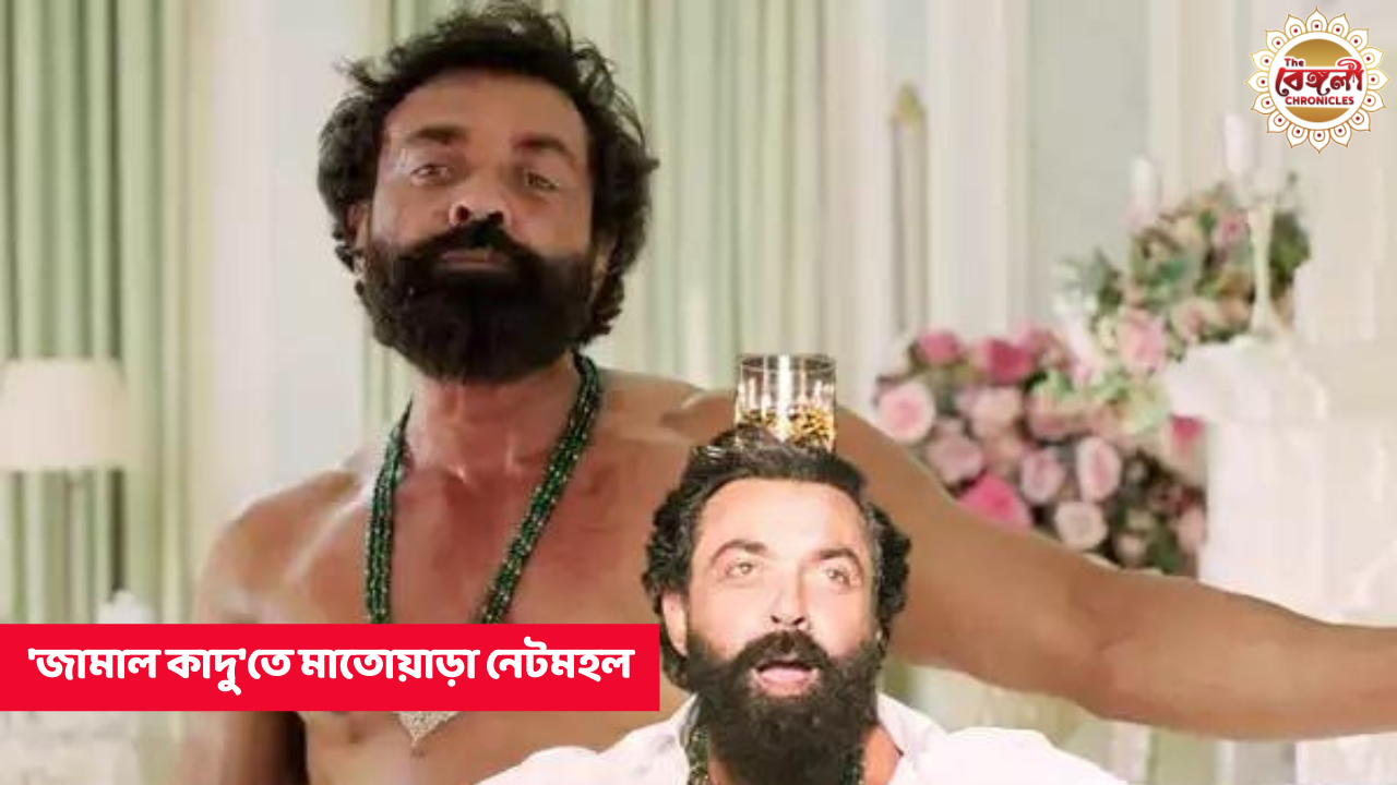 Jamal Kadu,Animal,Animal Bobby deol,Animal movie,Animal Ranbir kapoor,Animal movie song,Animal hit song,Animal song,Animal Jamal Kadu,Villain entry song,Animal villain entry song,Bollywood
