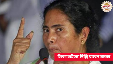 Mamata Banerjee,Narendra Modi,Delhi,Mamata Banerjee in Delhi,Mamata Banerjee meets Narendra Modi,DMK,Congress,North Bengal,Meeting,West Bengal,New Delhi