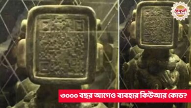 QR code,scientists,hidden treasure,QR code before 3000 years,3000 year old qr code,scientist discover qr code,old age,old age qr code